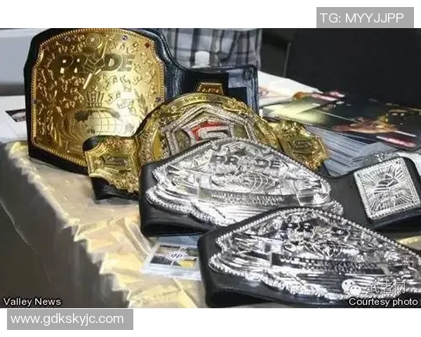 丹亨德森与菲多的巅峰对决谁能笑到最后揭开战斗真相